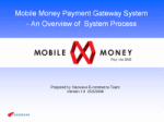 Mobile Money Payment System Process Flow